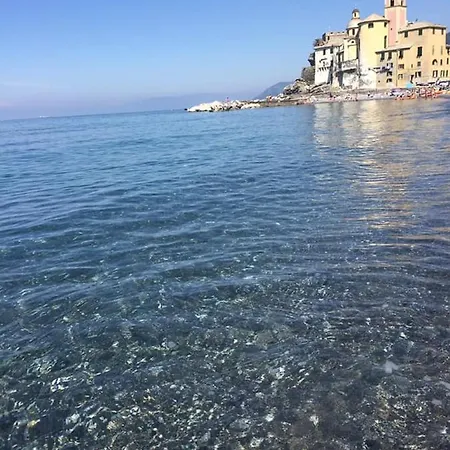 Lamarina * Camogli